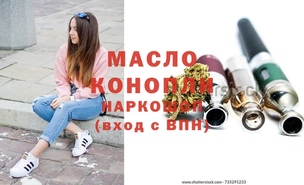 винт Абаза